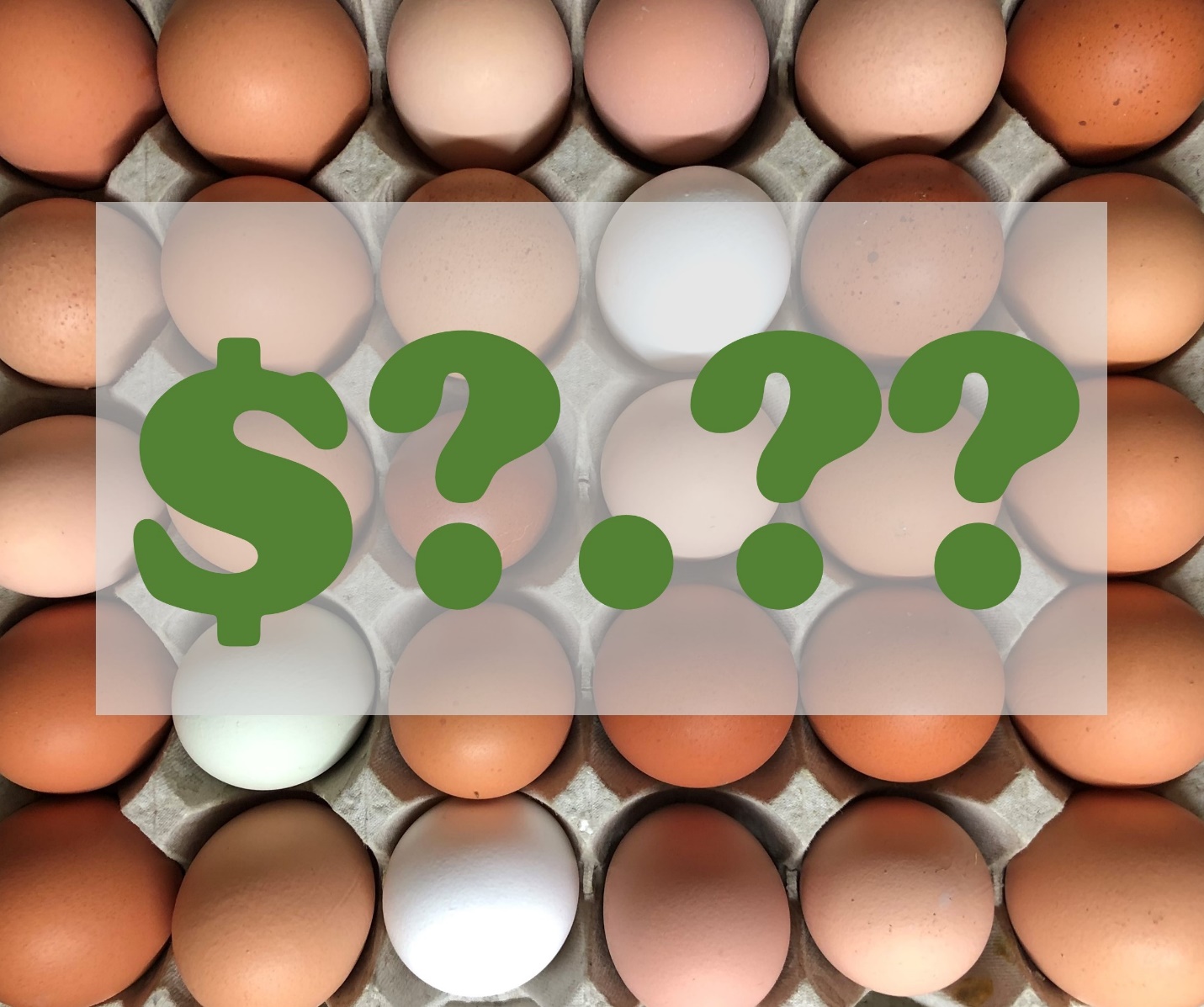 How Much are Your Eggs Worth? Happy Wife Acres