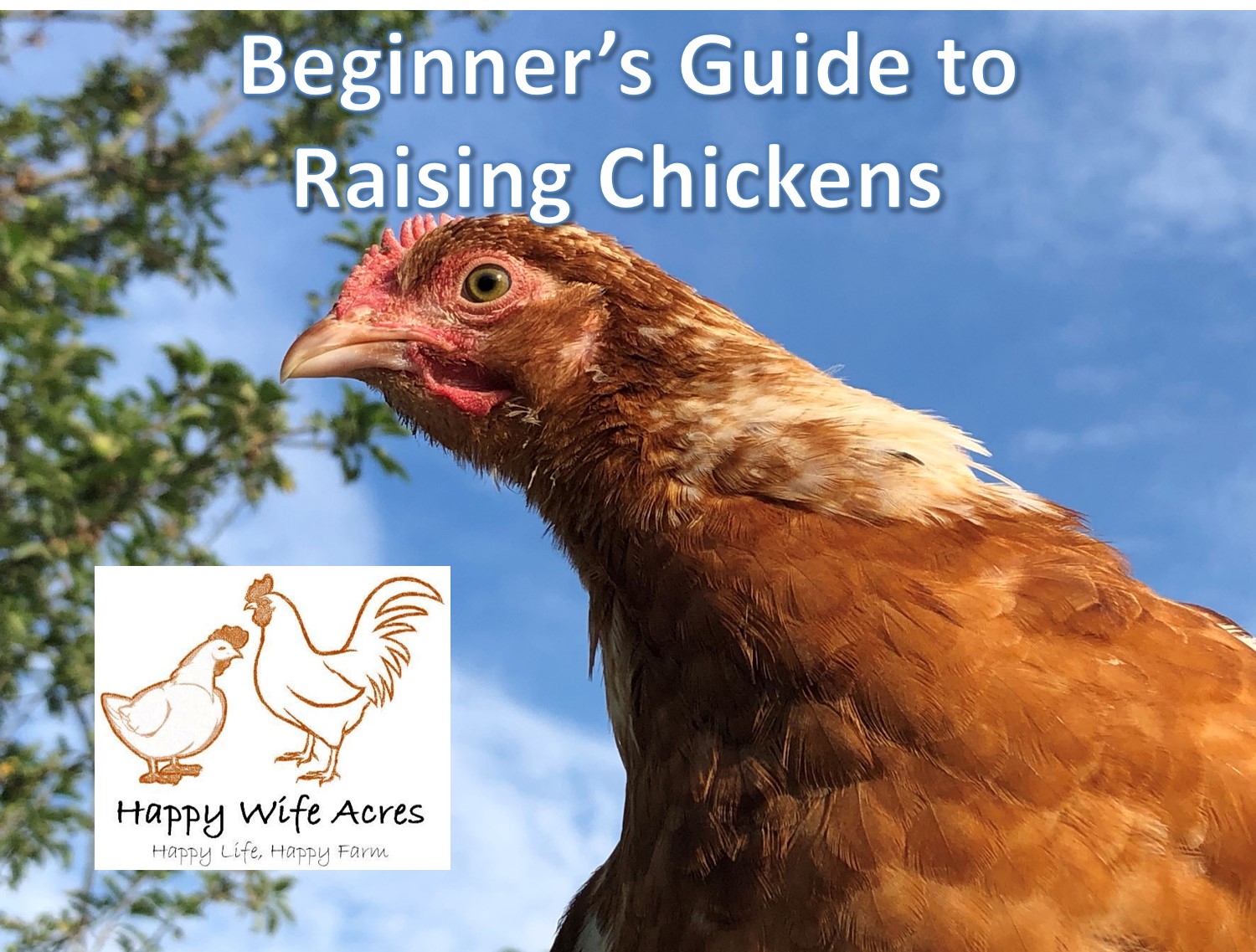 Online Class Beginners Guide To Raising Chickens March Happy Wife Acres